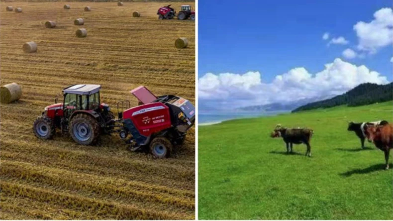 تطبيق التفاف صافي البالة في الأنشطة الزراعية