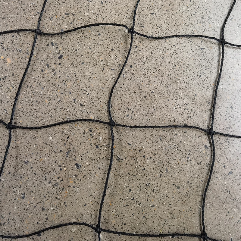 دور شبكات الكريكيت