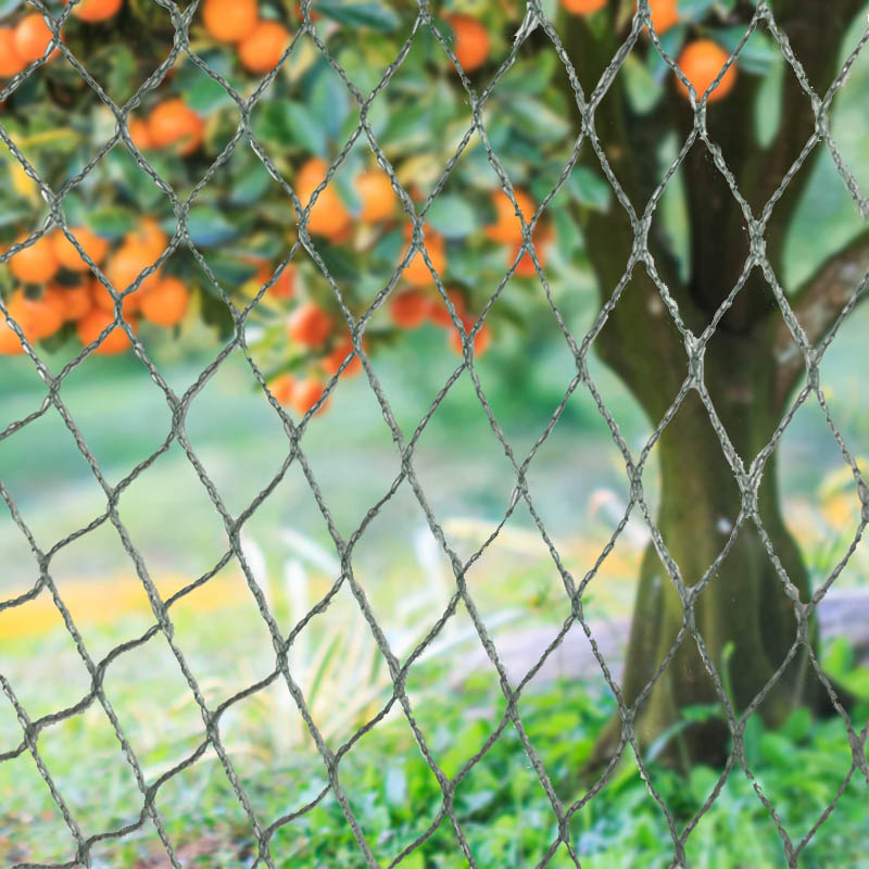 قم بحماية محاصيلك وممتلكاتك واستثماراتك من خلال شبكة الطيور شديدة التحمل!