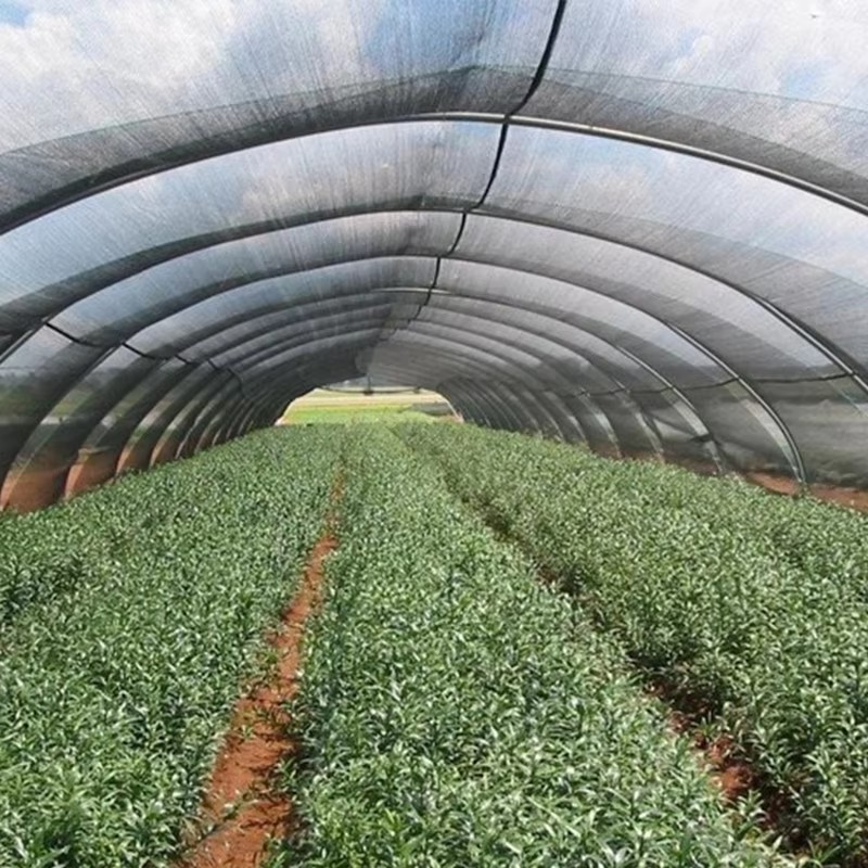 قماش تظليل للحديقة للنباتات 40% حجب أشعة الشمس