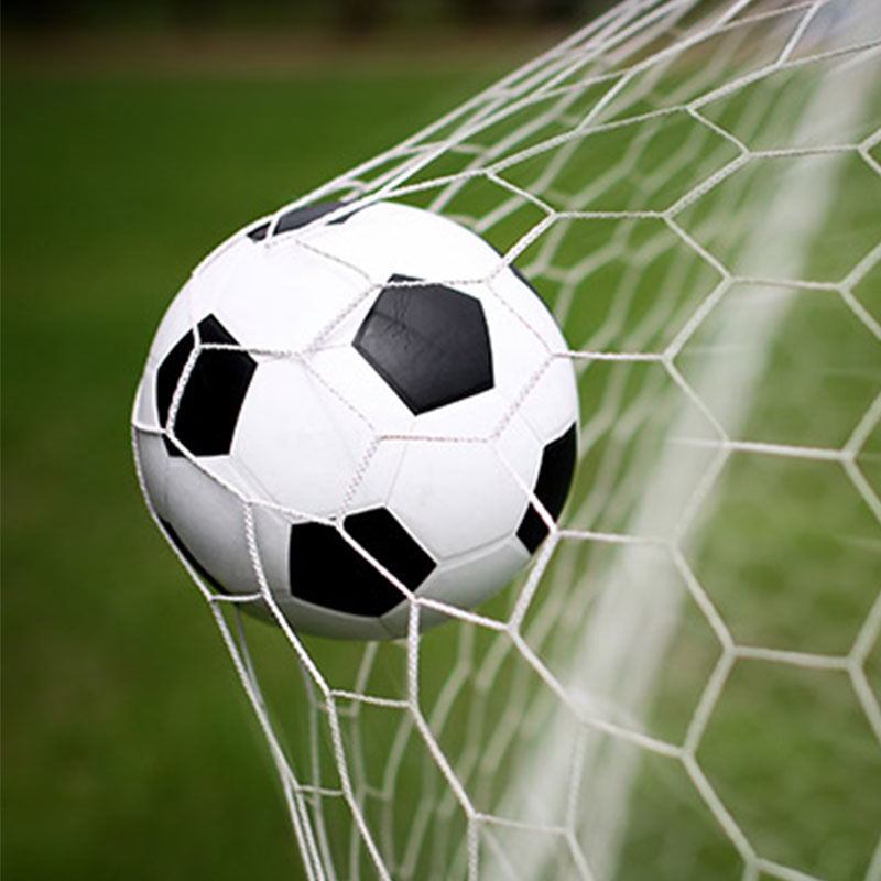 شبكة ملعب كرة القدم